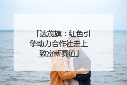 达茂旗：红色引擎助力合作社走上致富新赛道