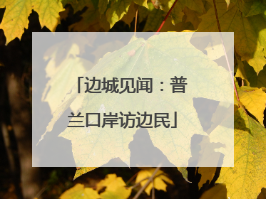 边城见闻：普兰口岸访边民