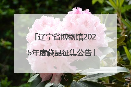 辽宁省博物馆2025年度藏品征集公告