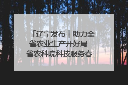 辽宁发布｜助力全省农业生产开好局 省农科院科技服务春耕备耕成效显著