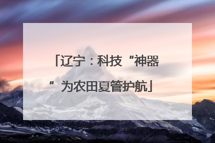 辽宁：科技“神器”为农田夏管护航