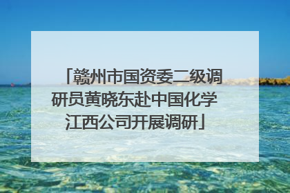赣州市国资委二级调研员黄晓东赴中国化学江西公司开展调研