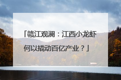 赣江观澜：江西小龙虾何以撬动百亿产业？