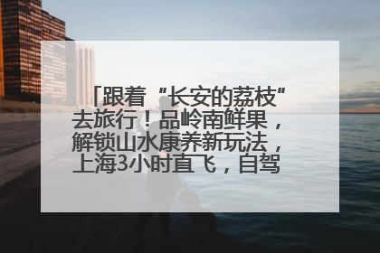 跟着“长安的荔枝”去旅行！品岭南鲜果，解锁山水康养新玩法，上海3小时直飞，自驾高速费优惠