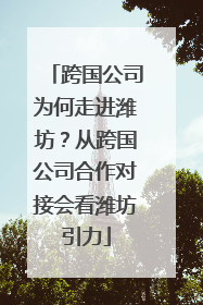 跨国公司为何走进潍坊？从跨国公司合作对接会看潍坊引力