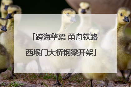 跨海擎梁 甬舟铁路西堠门大桥钢梁开架