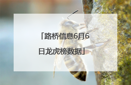 路桥信息6月6日龙虎榜数据