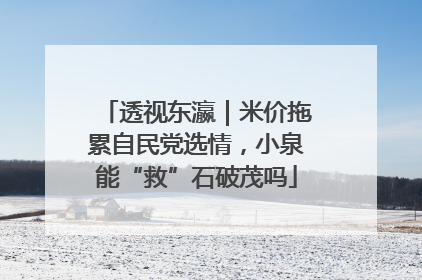 透视东瀛｜米价拖累自民党选情，小泉能“救”石破茂吗