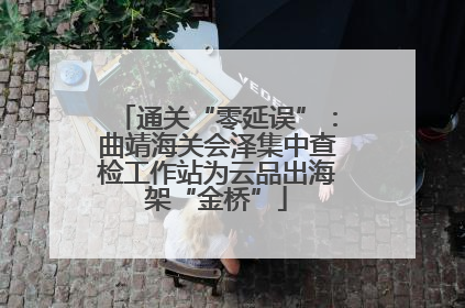 通关“零延误”：曲靖海关会泽集中查检工作站为云品出海架“金桥”