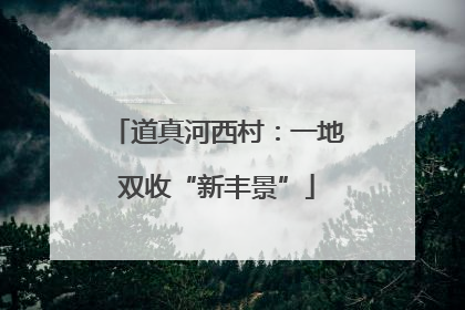 道真河西村：一地双收“新丰景”