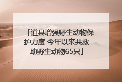 道县增强野生动物保护力度 今年以来共救助野生动物65只