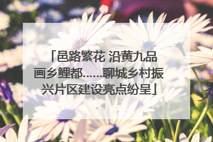 邑路繁花 沿黄九品 画乡鲤都……聊城乡村振兴片区建设亮点纷呈