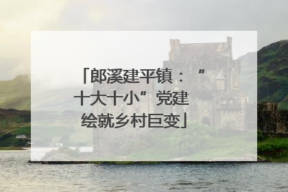 郎溪建平镇：“十大十小”党建 绘就乡村巨变