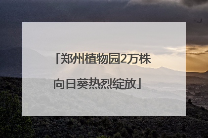 郑州植物园2万株向日葵热烈绽放