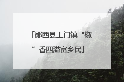 郧西县土门镇“椒”香四溢富乡民