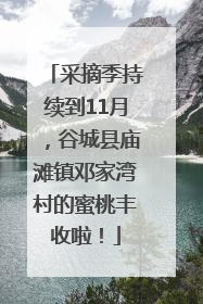 采摘季持续到11月，谷城县庙滩镇邓家湾村的蜜桃丰收啦！