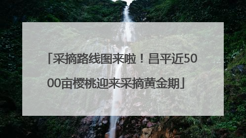 采摘路线图来啦！昌平近5000亩樱桃迎来采摘黄金期
