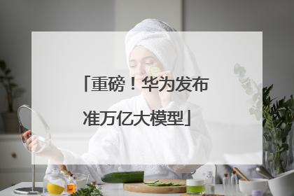 重磅！华为发布准万亿大模型
