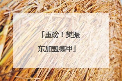 重磅！樊振东加盟德甲