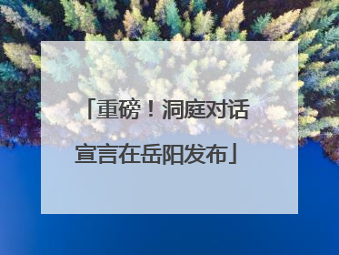 重磅！洞庭对话宣言在岳阳发布