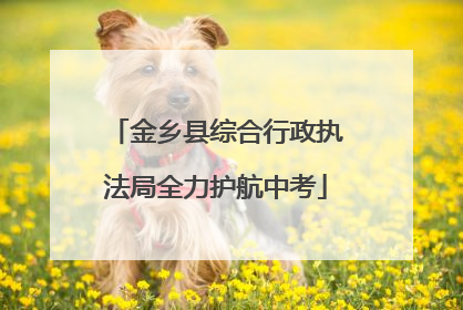 金乡县综合行政执法局全力护航中考