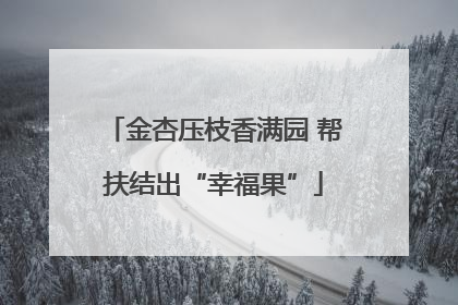 金杏压枝香满园 帮扶结出“幸福果”