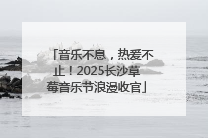 音乐不息，热爱不止！2025长沙草莓音乐节浪漫收官