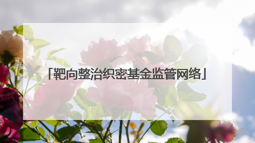 靶向整治织密基金监管网络
