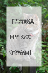 青绿映满月华 众志守得安澜
