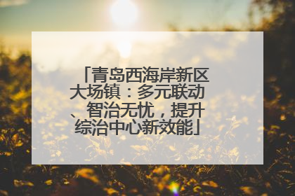 青岛西海岸新区大场镇：多元联动、智治无忧，提升综治中心新效能