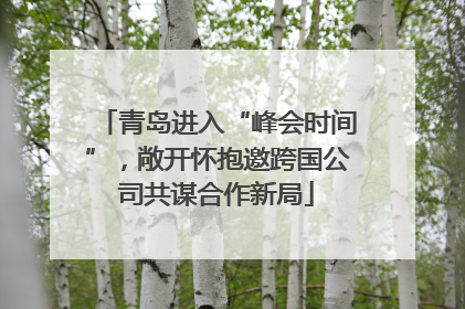 青岛进入“峰会时间”，敞开怀抱邀跨国公司共谋合作新局