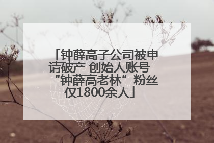 钟薛高子公司被申请破产 创始人账号“钟薛高老林”粉丝仅1800余人