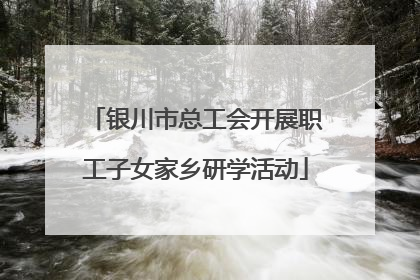 银川市总工会开展职工子女家乡研学活动