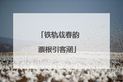 铁轨载春韵 票根引客潮