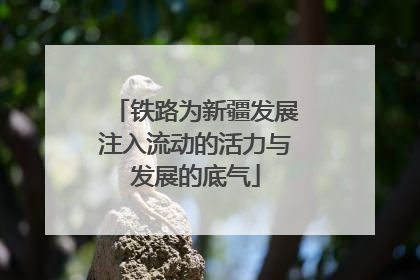 铁路为新疆发展注入流动的活力与发展的底气