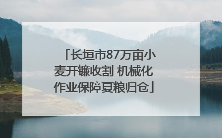 长垣市87万亩小麦开镰收割 机械化作业保障夏粮归仓