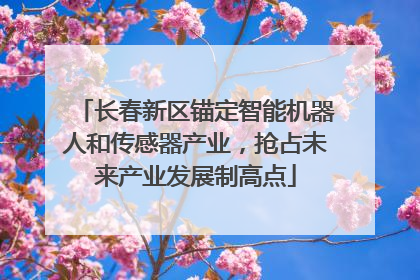 长春新区锚定智能机器人和传感器产业，抢占未来产业发展制高点