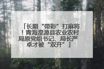 长期“带彩”打麻将！青海湟源县农业农村局原党组书记、局长严卓才被“双开”