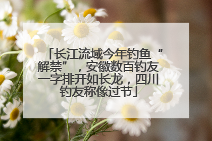 长江流域今年钓鱼“解禁”，安徽数百钓友一字排开如长龙，四川钓友称像过节