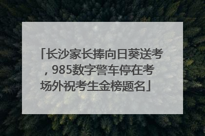 长沙家长捧向日葵送考，985数字警车停在考场外祝考生金榜题名