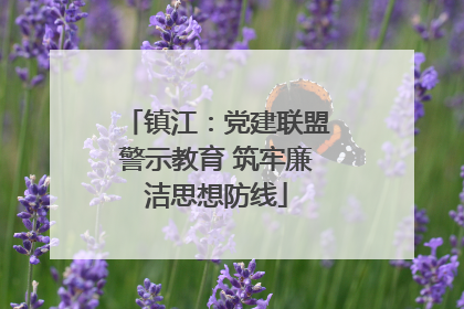 镇江：党建联盟警示教育 筑牢廉洁思想防线