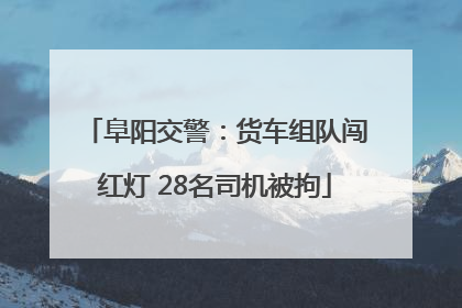 阜阳交警：货车组队闯红灯 28名司机被拘