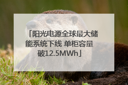 阳光电源全球最大储能系统下线 单柜容量破12.5MWh