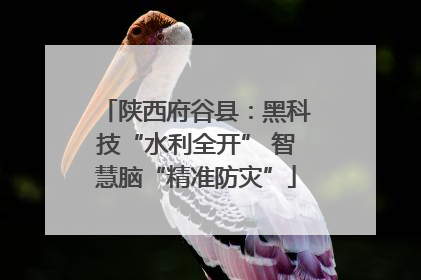 陕西府谷县：黑科技“水利全开” 智慧脑“精准防灾”