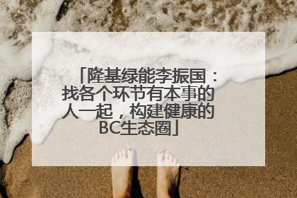 隆基绿能李振国：找各个环节有本事的人一起，构建健康的BC生态圈