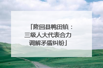 隆回县鸭田镇：三级人大代表合力调解矛盾纠纷