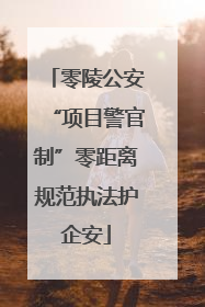 零陵公安“项目警官制”零距离规范执法护企安