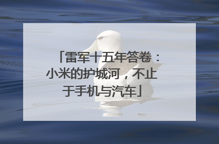 雷军十五年答卷：小米的护城河，不止于手机与汽车