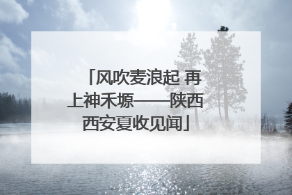 风吹麦浪起 再上神禾塬——陕西西安夏收见闻