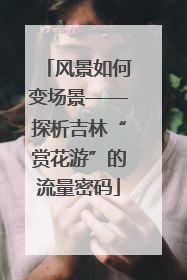 风景如何变场景——探析吉林“赏花游”的流量密码